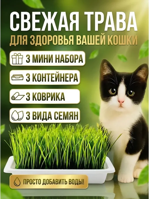 Трава для кошек, вариант