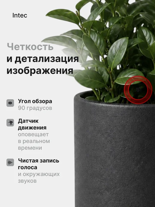 Intec Камера видеонаблюдения для дома 1080 wi-fi с кейсом, черный, фото 4