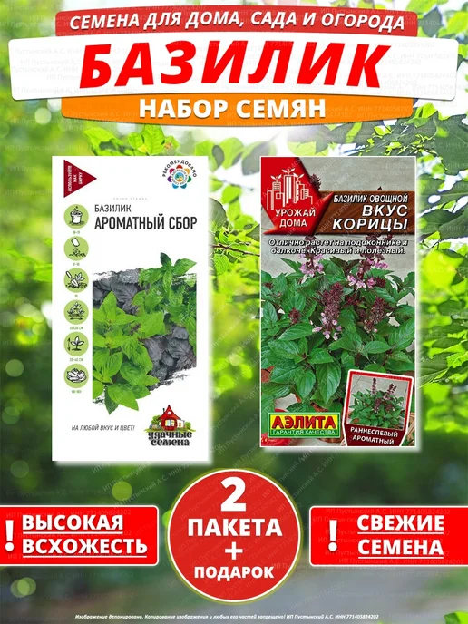 Семена базилик для дома сада посадки, вариант