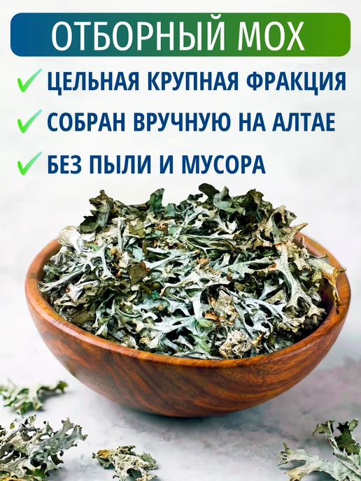 Дары с Алтая Исландский мох от кашля цетрария трава ирландский алтай 50 г, 50 г, фото 2