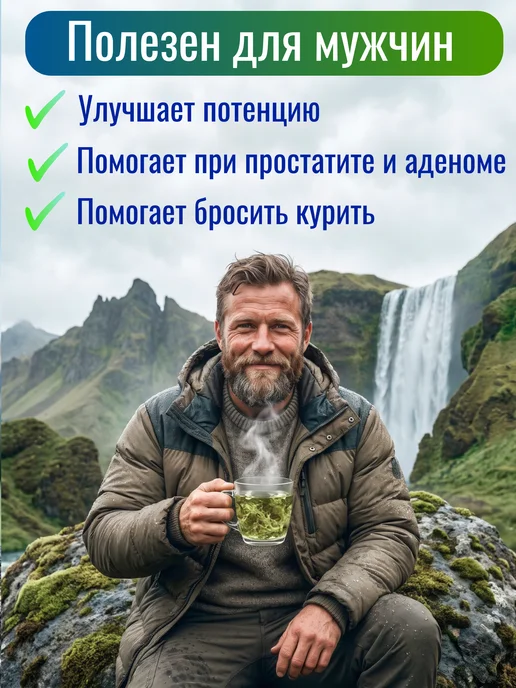 Дары с Алтая Исландский мох от кашля цетрария трава ирландский алтай 50 г, 50 г, фото 7