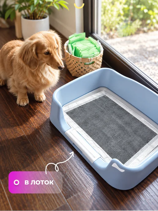 Pet Soft Пеленки для собак одноразовые угольные на липучках 45х60, черный, фото 7