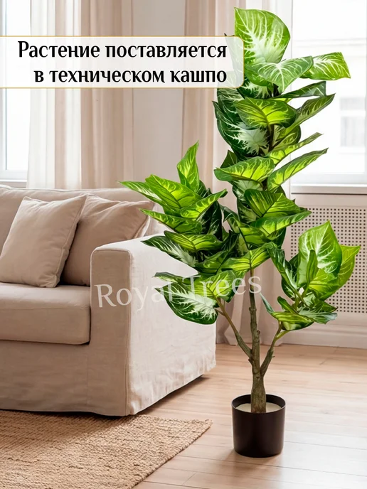 Royal Trees Искусственное дерево Диффенбахия 110см, зеленый, фото 2