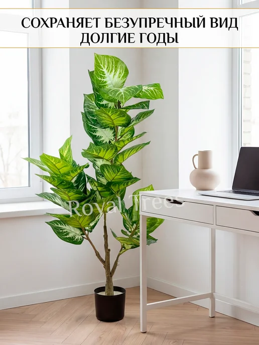 Royal Trees Искусственное дерево Диффенбахия 110см, зеленый, фото 5