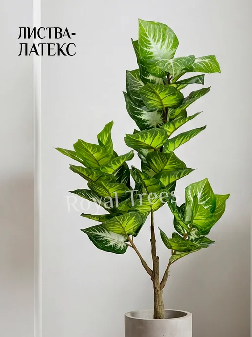 Royal Trees Искусственное дерево Диффенбахия 110см, зеленый, фото 7