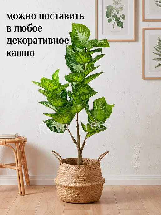 Royal Trees Искусственное дерево Диффенбахия 110см, зеленый, фото 8