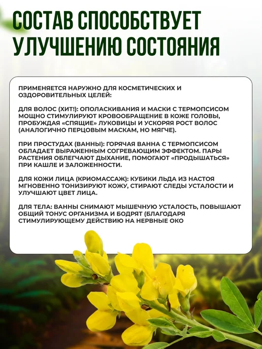 Мед и Конфитюр Термопсис ланцетный трава 50 гр, 50 г, фото 3