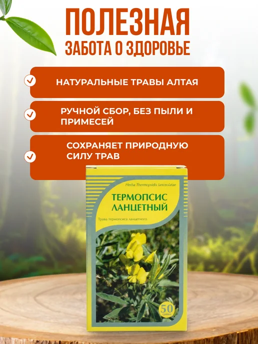 Мед и Конфитюр Термопсис ланцетный трава 50 гр, 50 г, фото 4