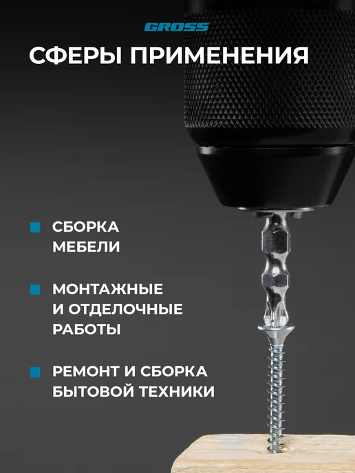 GROSS Бита для шуруповерта магнитная PZ2-PZ1х45мм, 10 шт, 112010, 1x45 мм, 10 шт, фото 4
