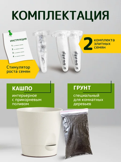 ЭкоКлуб Набор для выращивания "Бонсай для начинающих. Сакура", вариант, фото 2