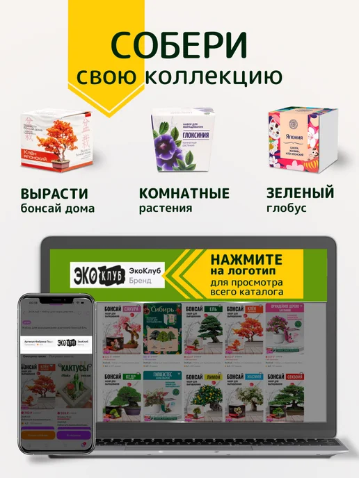 ЭкоКлуб Набор для выращивания "Бонсай для начинающих. Сакура", вариант, фото 5