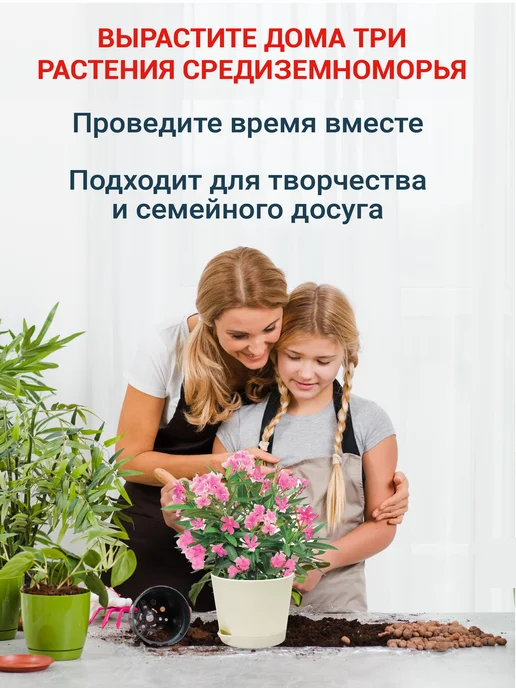 ЭкоКлуб Набор для выращивания бонсай "Лимон. Лаванда. Олеандр.", 3 шт, фото 7