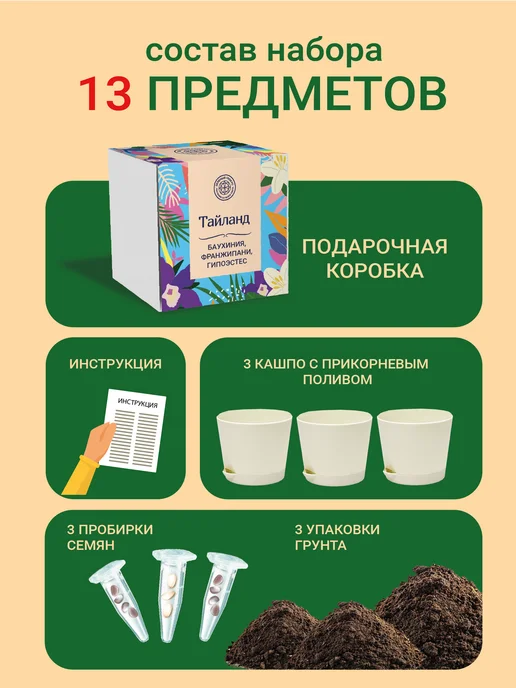 ЭкоКлуб Набор для выращивания "Баухиния. Франжипани. Гипоэстес.", 3 шт, фото 3