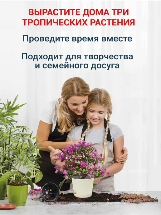 ЭкоКлуб Набор для выращивания "Баухиния. Франжипани. Гипоэстес.", 3 шт, фото 5