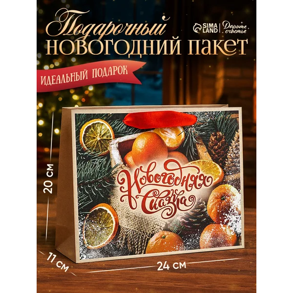 Пакет подарочный новогодний бумажный, «Новогодняя сказка»