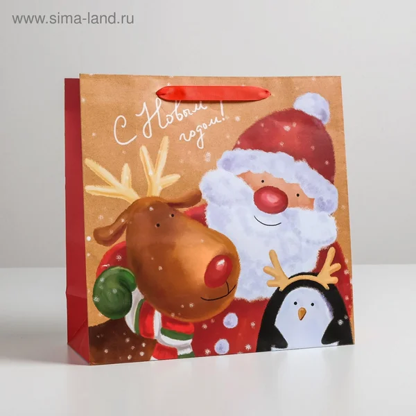 Пакет ламинированный квадратный