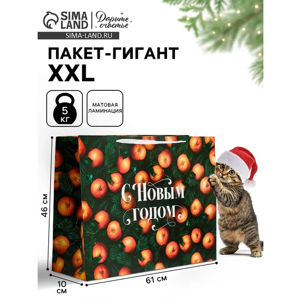 Пакет новогодний ламинированный подарочный «с Новым годом»