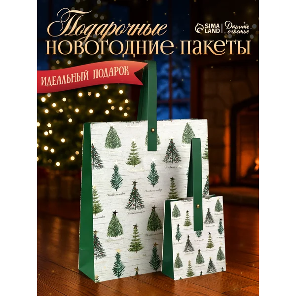 Набор пакетов ламинированных «Новогодняя звезда»