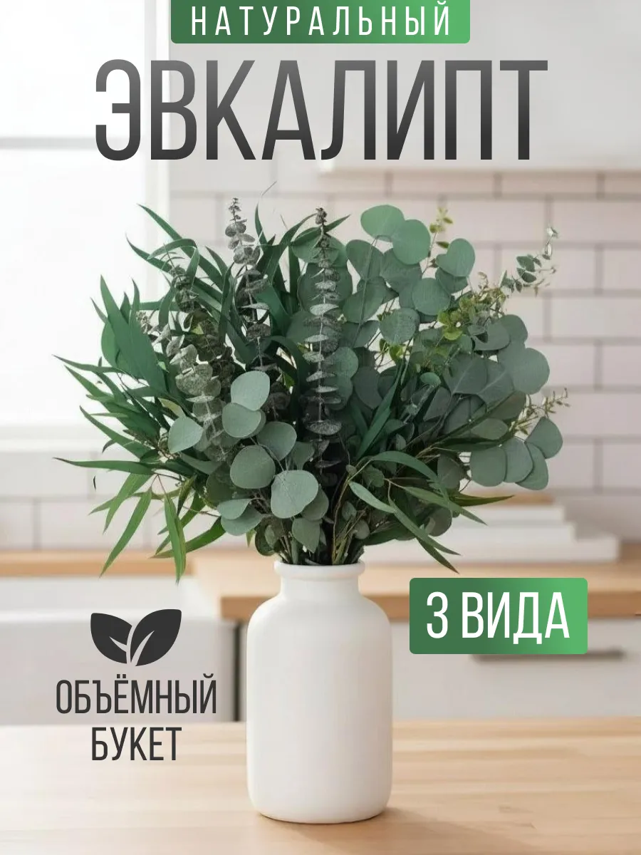 Сухоцвет для декора эвкалипт стабилизированный