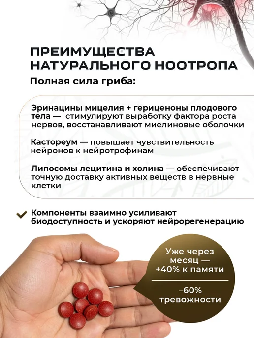 Сашера-мед Ежовик гребенчатый с лецитином для мозга 3 шт, 3 шт, фото 2