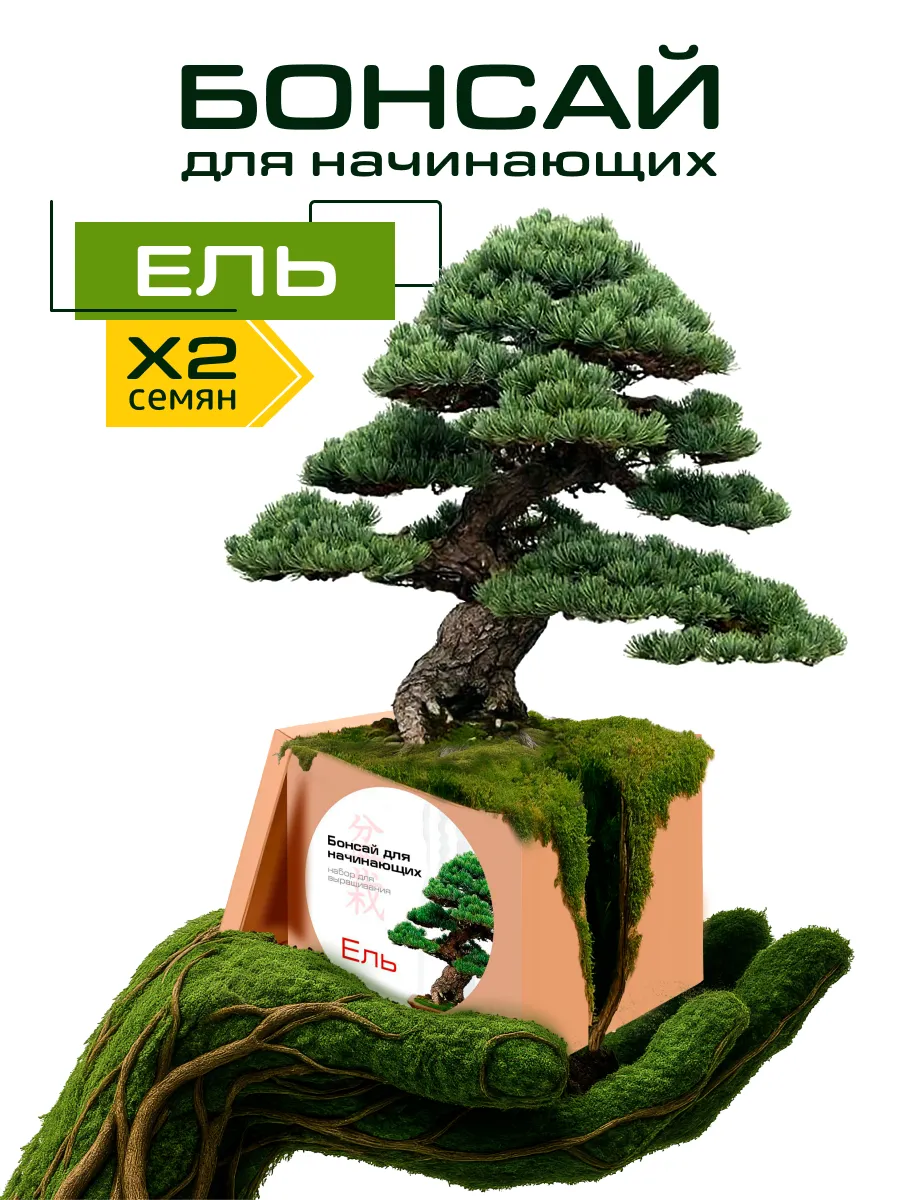 Набор для выращивания "Бонсай для начинающих. Ель"