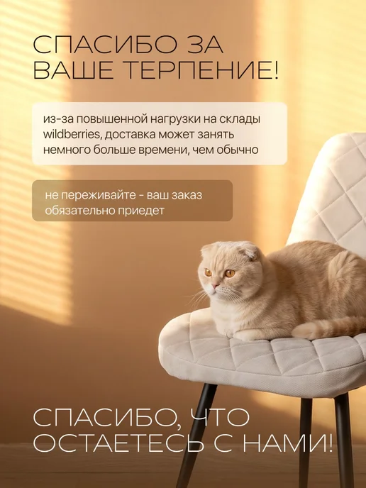chiedocover Чехлы на стулья со спинкой из велюра Ракушка 2 шт, 2 шт, фото 2