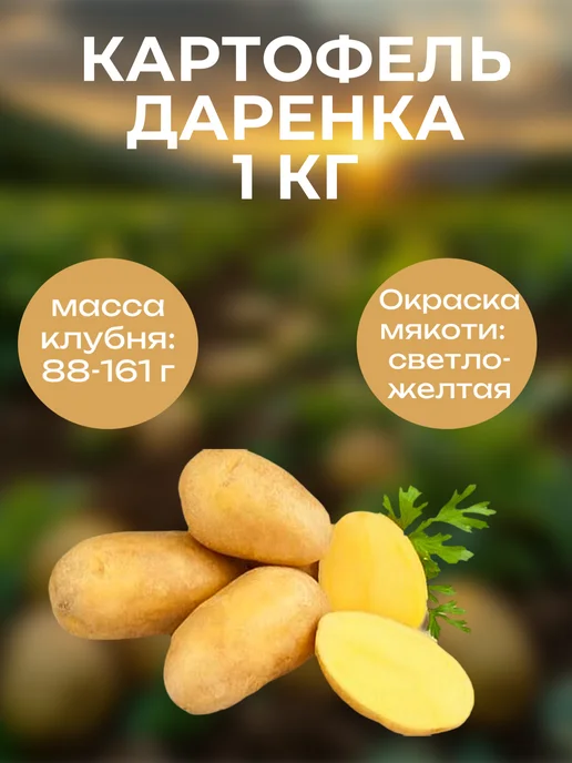 ОгородNIK Картофель семенной Даренка, 1 кг, 1 кг