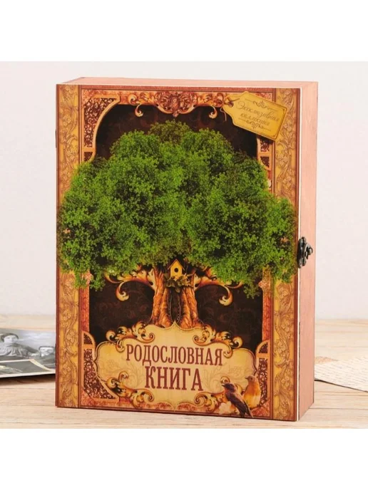 Подарки от Михалыча Родословная книга Знатный род (в шкатулке), коричневый, фото 3