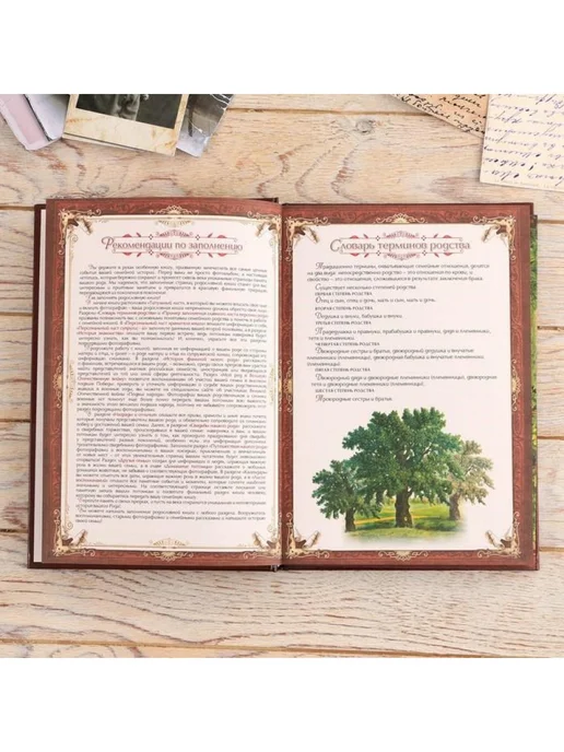 Подарки от Михалыча Родословная книга Знатный род (в шкатулке), коричневый, фото 7