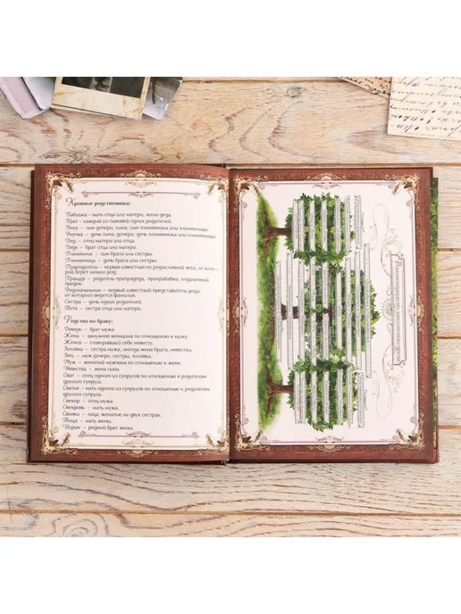Подарки от Михалыча Родословная книга Знатный род (в шкатулке), коричневый, фото 8