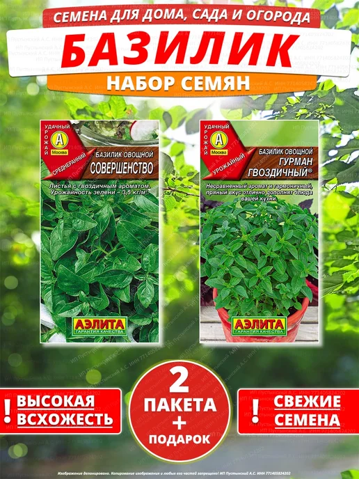 Семена базилик для дома сада посадки, вариант