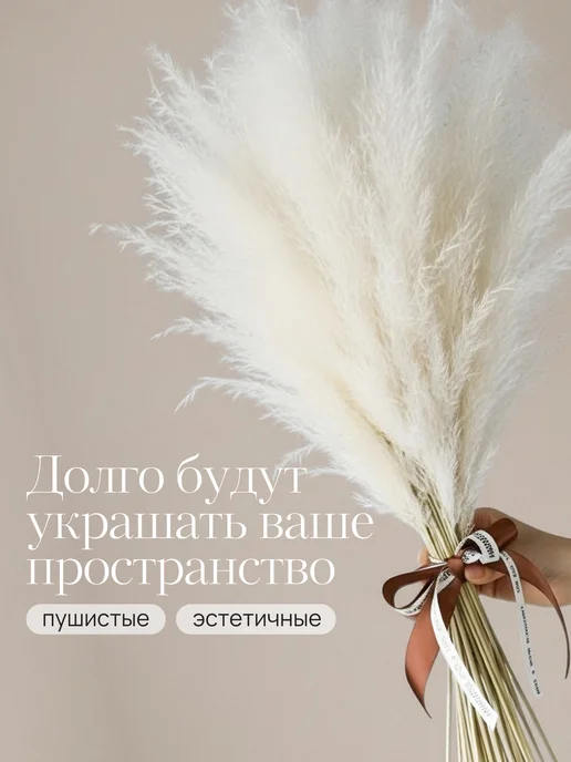 Mara mix Сухоцветы для декора и интерьера, белый, фото 2