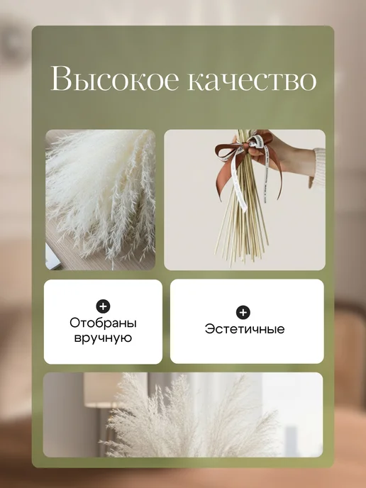 Mara mix Сухоцветы для декора и интерьера, белый, фото 3
