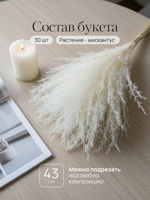 Mara mix Сухоцветы для декора и интерьера, белый, фото 4