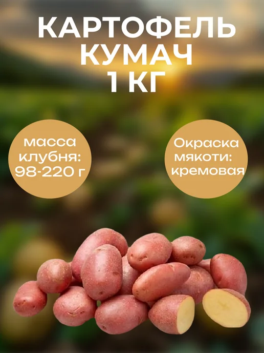 ОгородNIK Картофель семенной Кумач, 1 кг, 1 кг