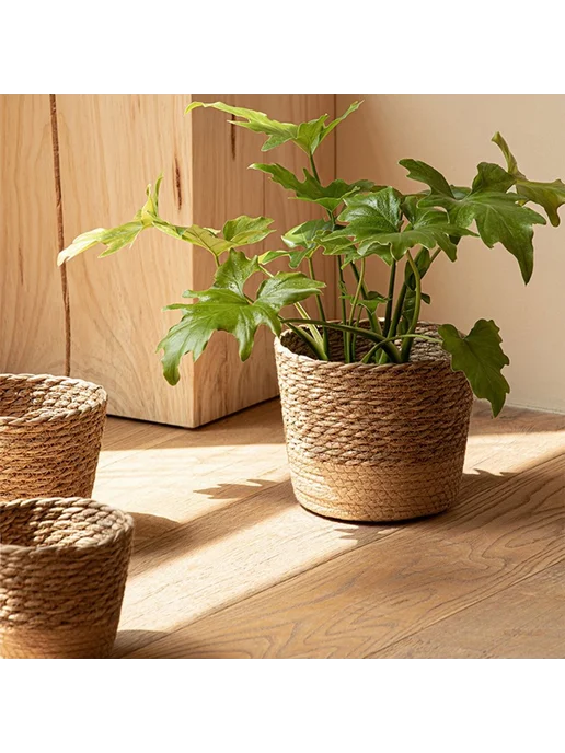 Горшок для цветов соломенный салатовый 17 5x12 см, 5x12 см
