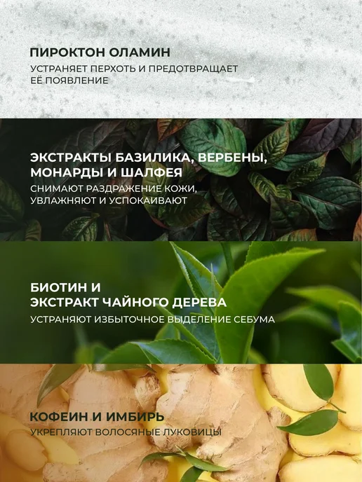 KERASYS Шампунь мужской от перхоти 2 в 1, Цитрусовый 400 мл, Корея, 400 мл, фото 4