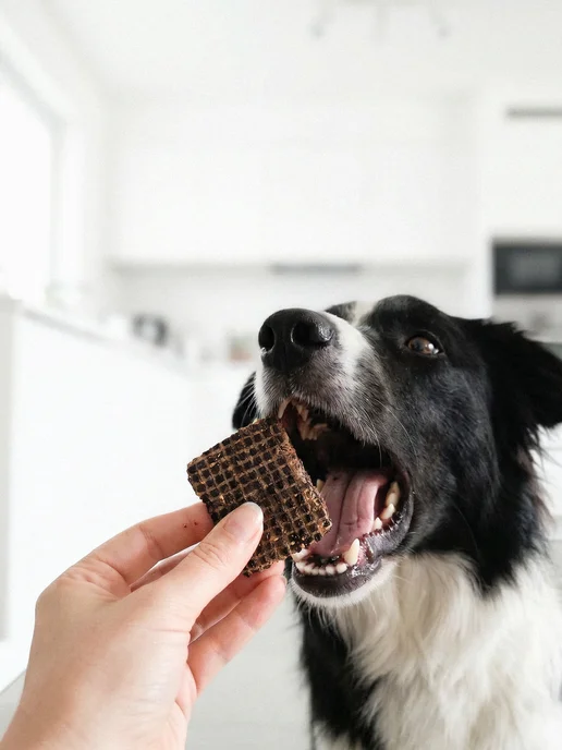 ArchiDog Вкусняшка для собак печенье для тренировки, вариант, фото 5