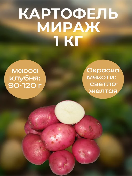 ОгородNIK Картофель семенной Мираж, 1 кг, 1 кг