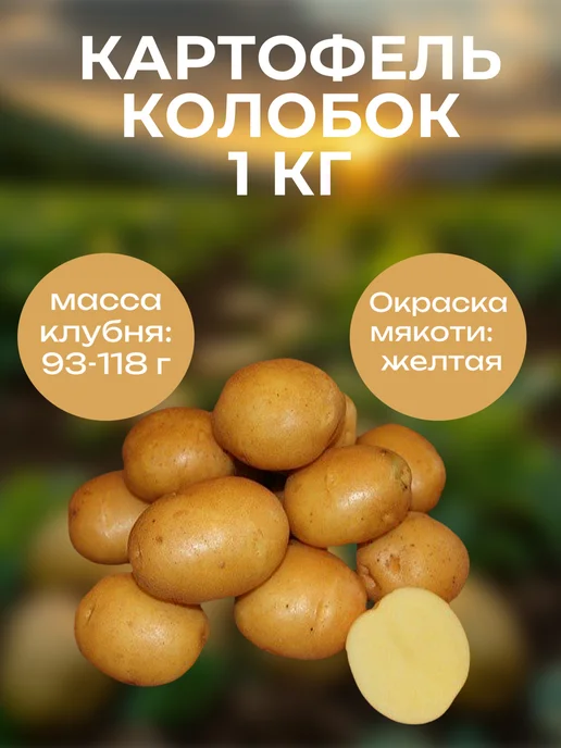 ОгородNIK Картофель семенной Колобок, 1 кг, 1 кг