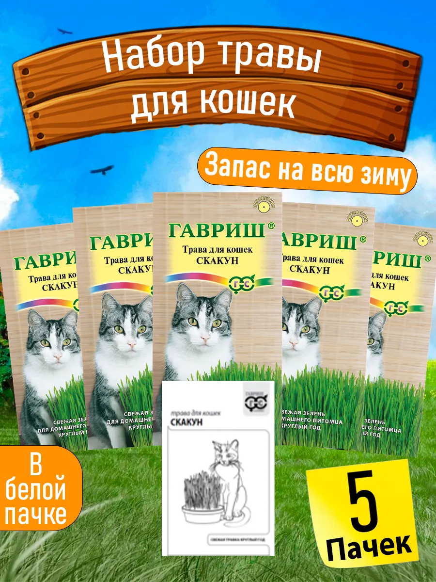 Семена травы для кошек Скакун. Набор для проращивания
