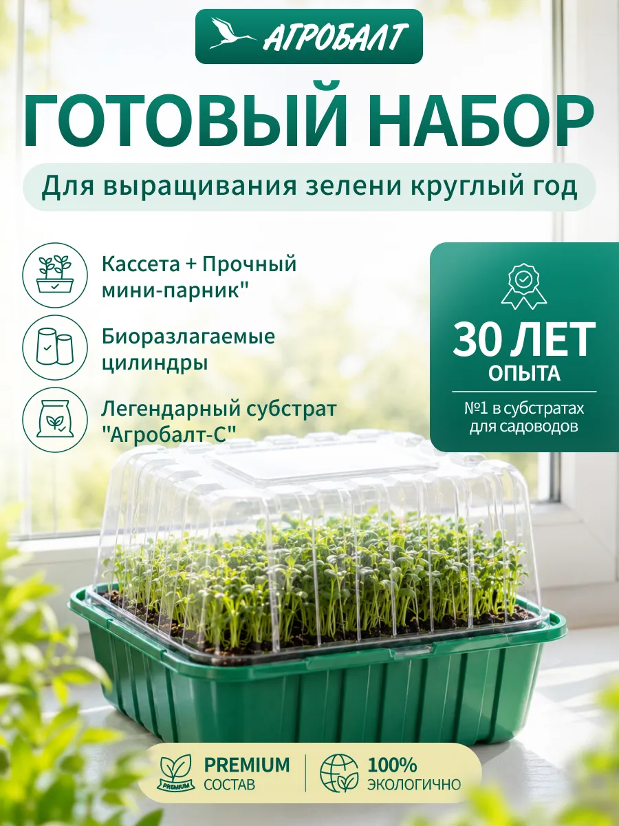 Мини парник для рассады с крышкой и поддоном