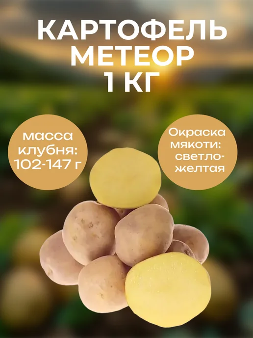 ОгородNIK Картофель семенной Метеор, 1 кг, 1 кг