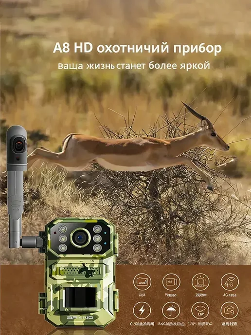 Охота на лесную фотоловушку с помощью SIM-карты, вариант, фото 2