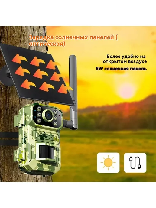 Охота на лесную фотоловушку с помощью SIM-карты, вариант, фото 3