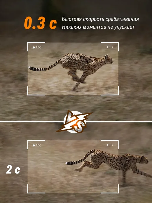 Охота на лесную фотоловушку с помощью SIM-карты, вариант, фото 4