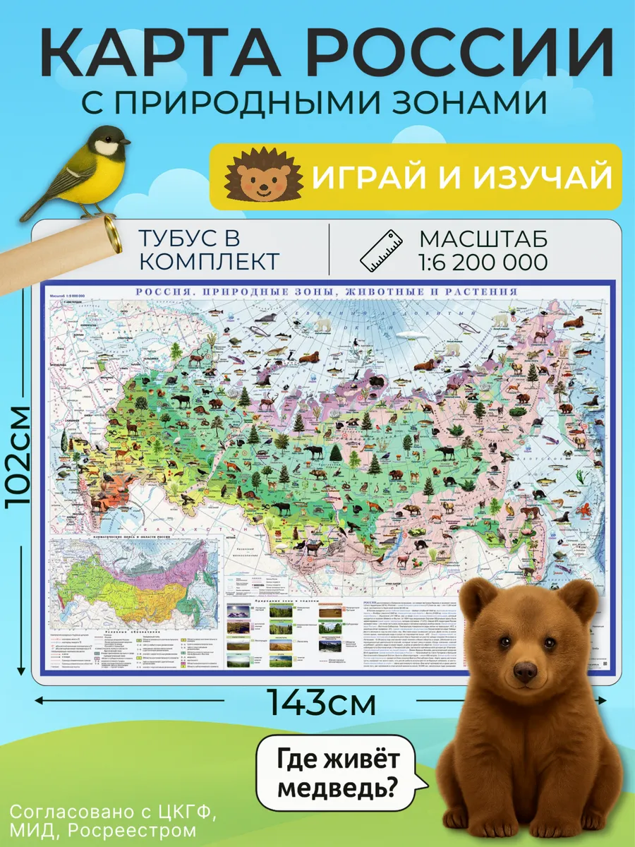 Карта России на стену для детей природные зоны 143х102 см