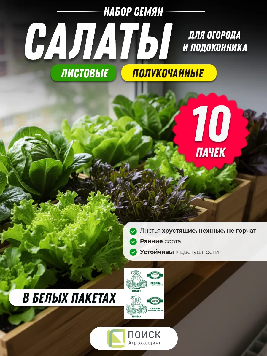 Семена салата листового для открытого грунта для подоконника