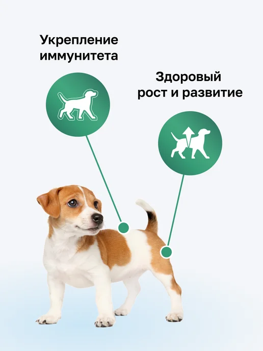 Сухой корм Organix Фруктами для собак, щенки, ягненок, 0,8 кг, фото 2