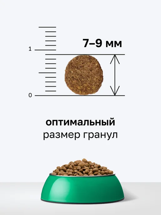 Сухой корм Organix Фруктами для собак, щенки, ягненок, 0,8 кг, фото 7